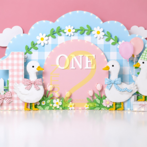 Baby girl first birthday photography backdrop with white ducks, pink and blue gingham arch, flowers, clouds, and decorative number one.